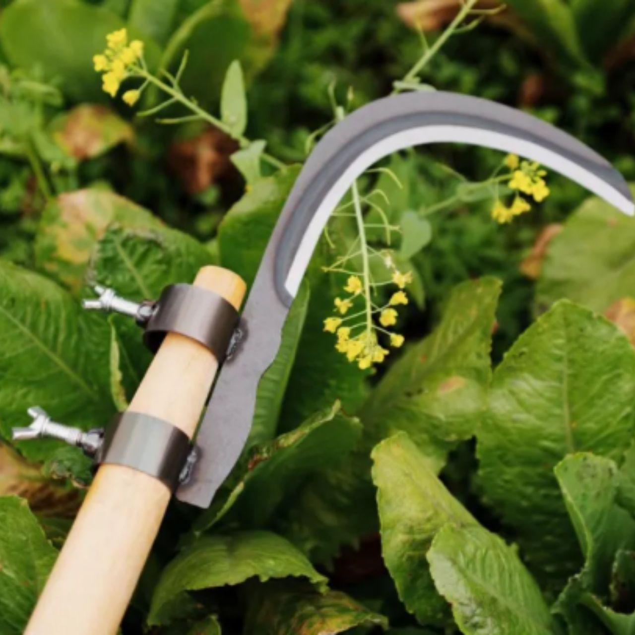 AgroTool, rezač za grane, korov, trnje i vegetaciju - Image 5