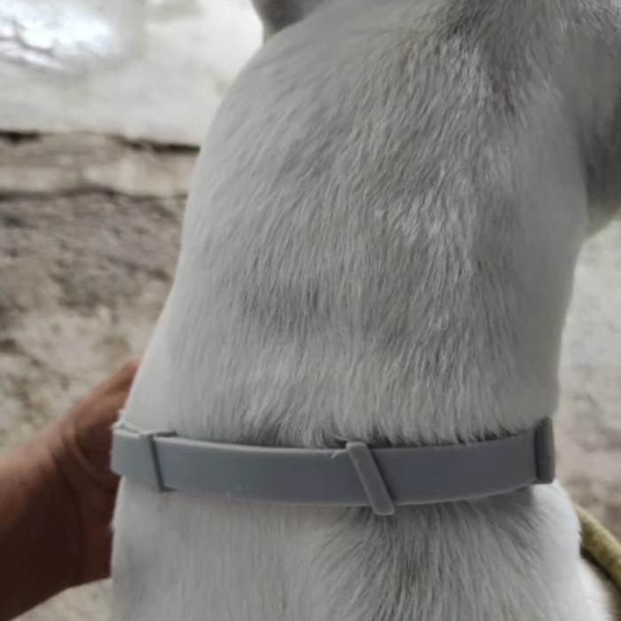 AnimalProtect, ogrlica protiv krpelja i buha za pse - Image 2