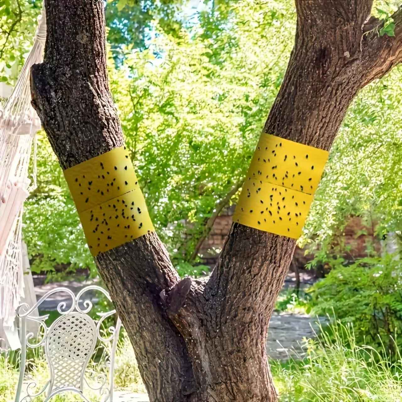 BarrierTape, ljepljiva traka za hvatanje insekata - Image 3