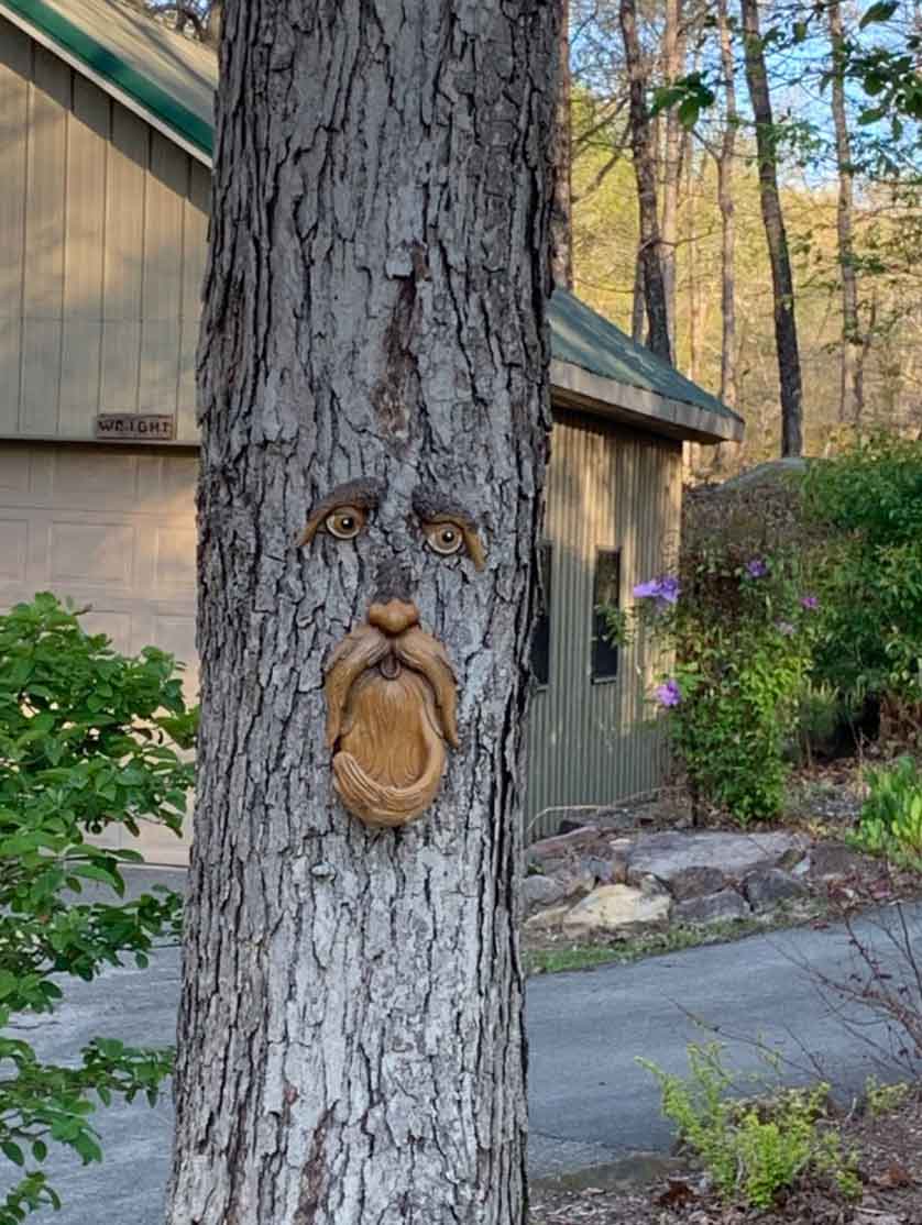 BirdFeeder, ukras za drvo u obliku lica koji je ujedno i hranilica za ptice - Image 8