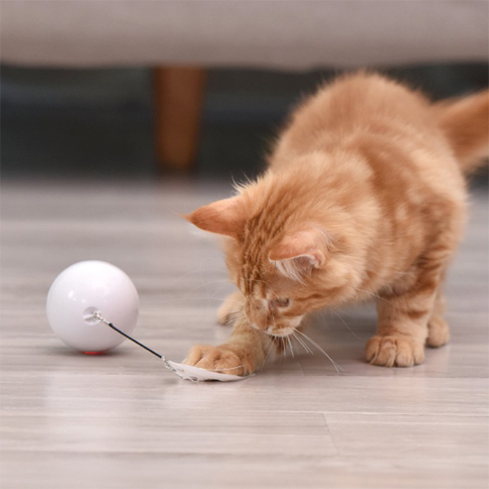 CatToy, igračka za mačke koja bježi i maše perom - Image 2