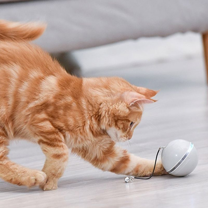 CatToy, igračka za mačke koja bježi i maše perom - Image 3