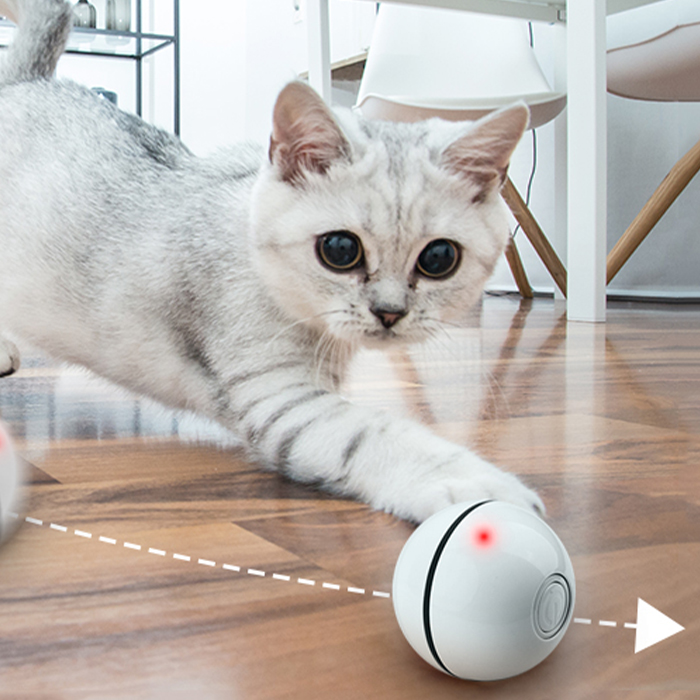 CatToy, igračka za mačke koja bježi i maše perom - Image 10