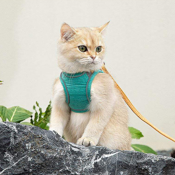 CatVest, povodac s oprsnicom za mačke - Image 3