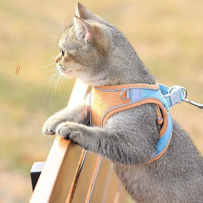 CatVest, povodac s oprsnicom za mačke - Image 4