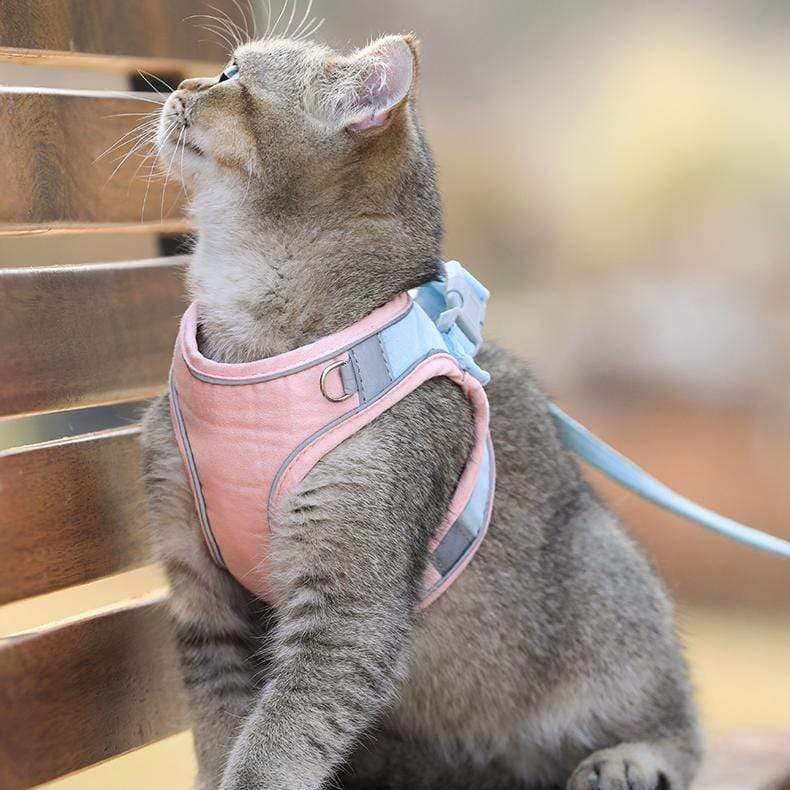 CatVest, povodac s oprsnicom za mačke - Image 5