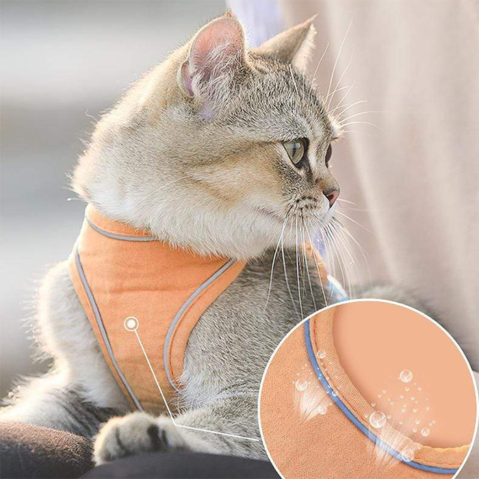 CatVest, povodac s oprsnicom za mačke - Image 9