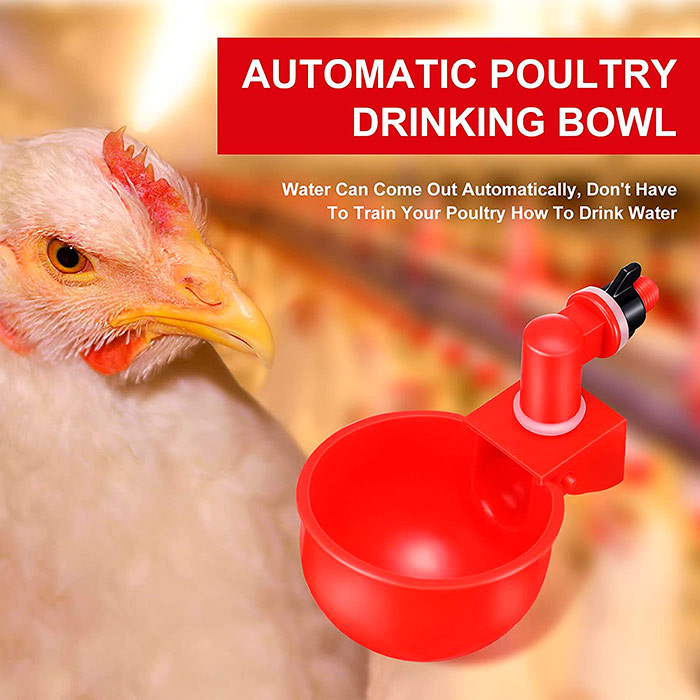 ChickenBowl, pojilica za kokoši i ostalu perad (6 komada) - Image 4