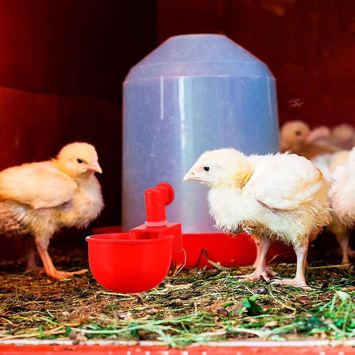 ChickenBowl, pojilica za kokoši i ostalu perad (6 komada) - Image 7