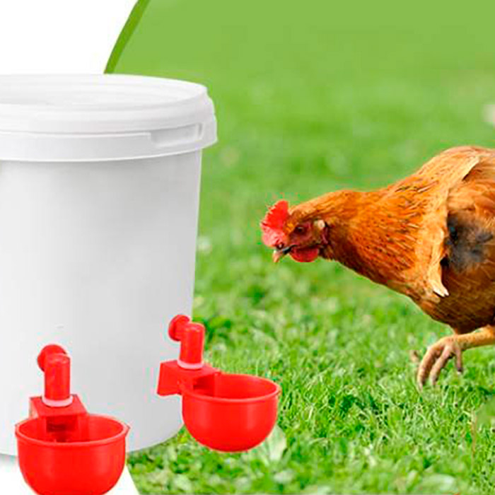 ChickenBowl, pojilica za kokoši i ostalu perad (6 komada) - Image 8
