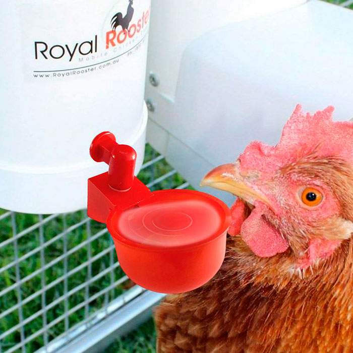ChickenBowl, pojilica za kokoši i ostalu perad (6 komada) - Image 9