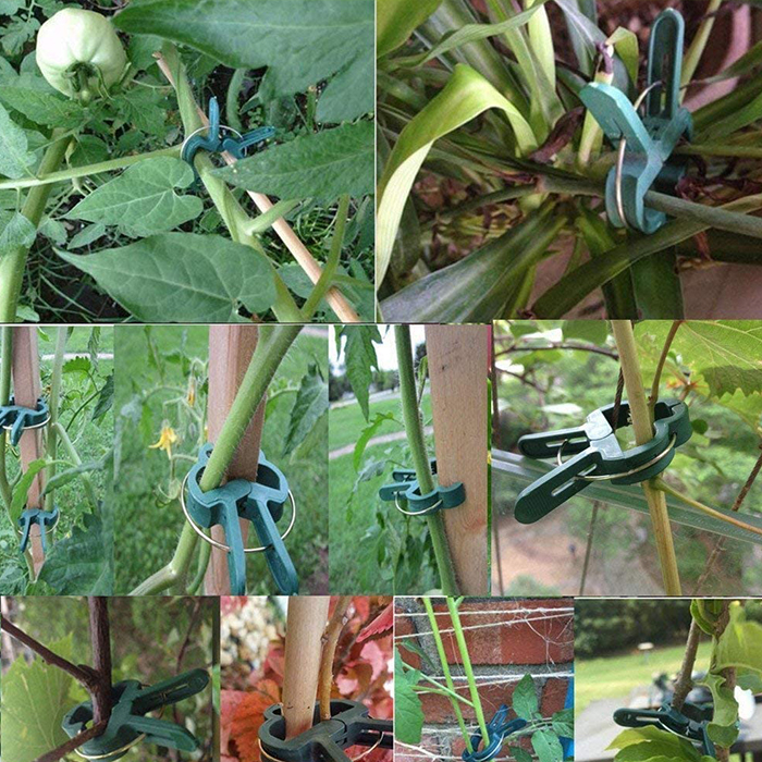 ClampsGarden, korisne i izdržljive stezaljke za razne biljke vani i unutra (20 kom.) - Image 5