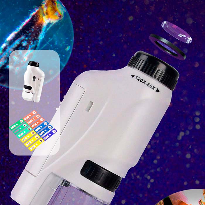 DiscoverBundle, prijenosni dječji mikroskop + 12-dijelni set pločica za promatranje - Image 5