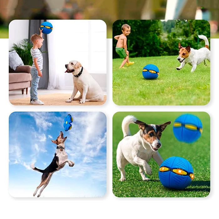 DiskBall, igračka za pse koja je i frizbi i lopta - Image 7