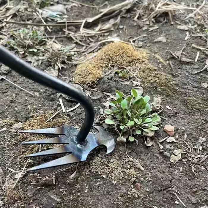 DuoWeeder, alat za uklanjanje korova u vrtu - Image 6