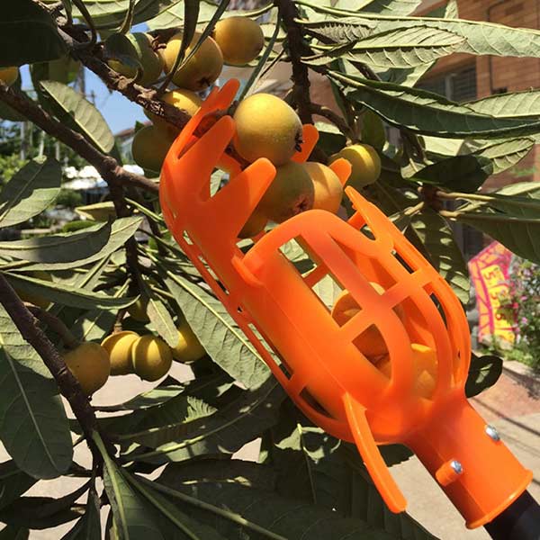 FruitBasket, košara za branje voća - Image 6