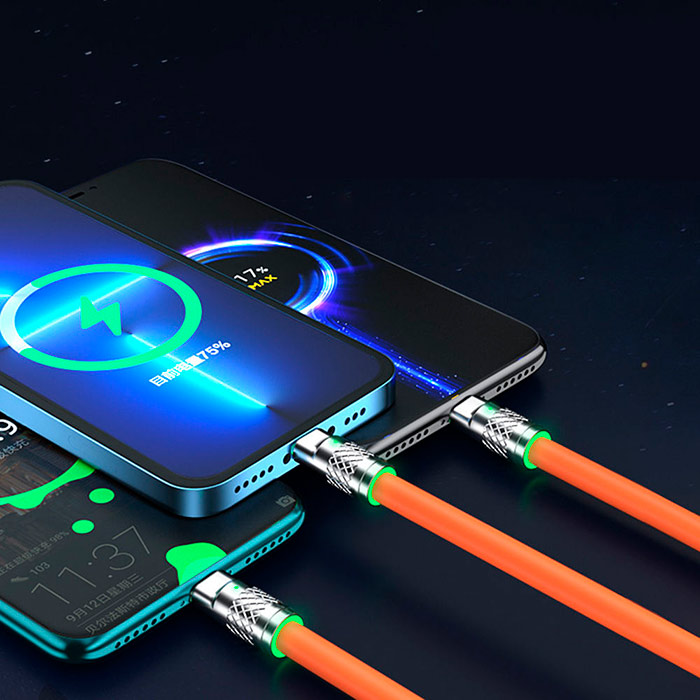 FlexCharger - Image 3