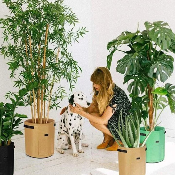 FoldingGarden, prijenosna vrtna greda od tkanine od 26L. - Image 3
