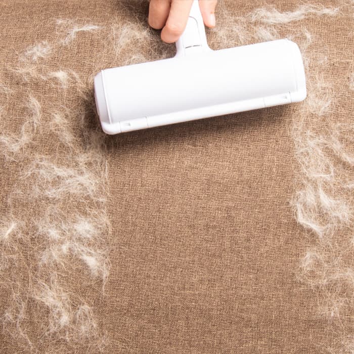 FurRemover, višekratni valjak za uklanjanje dlačica - Image 10