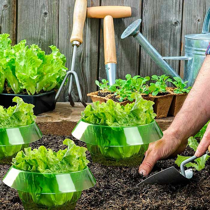 LettuceProtect, zaštita za salatu i druge usjeve (10 komada) - Image 6