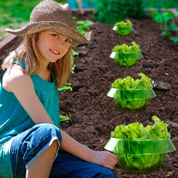 LettuceProtect, zaštita za salatu i druge usjeve (10 komada) - Image 7