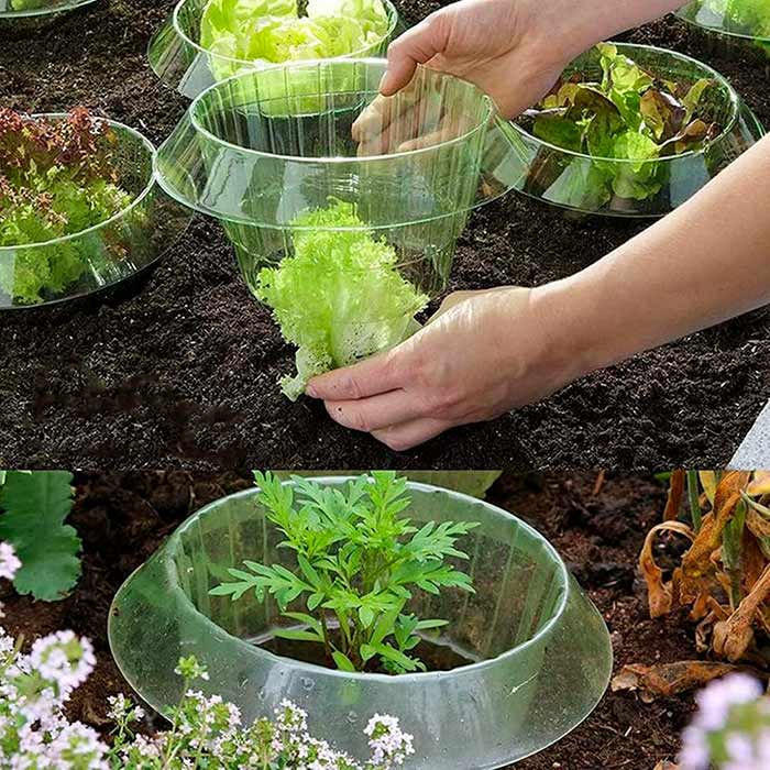 LettuceProtect, zaštita za salatu i druge usjeve (10 komada) - Image 9