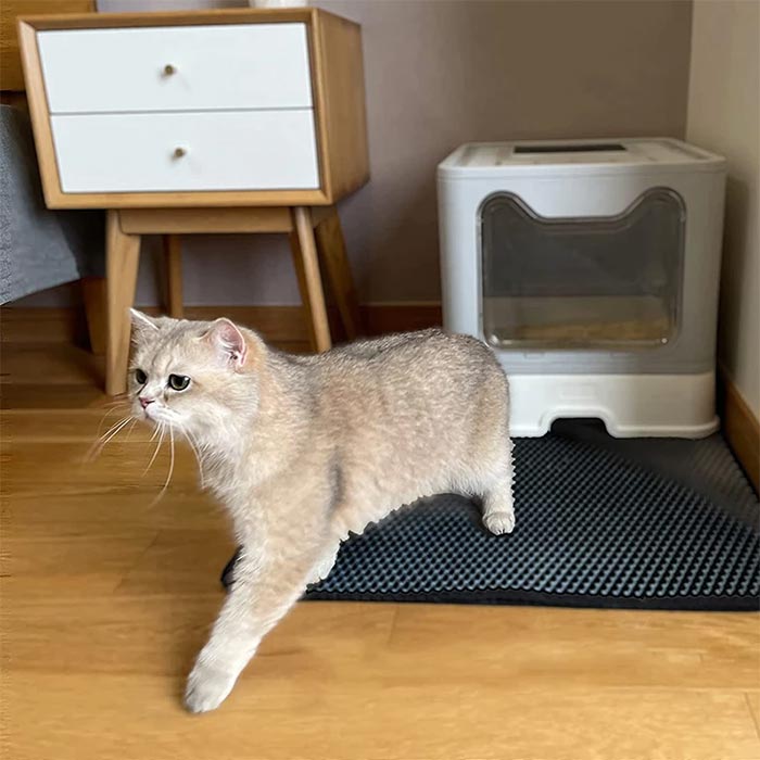 LitterMat, podloga za mačji pijesak koja hvata pijesak - Image 2