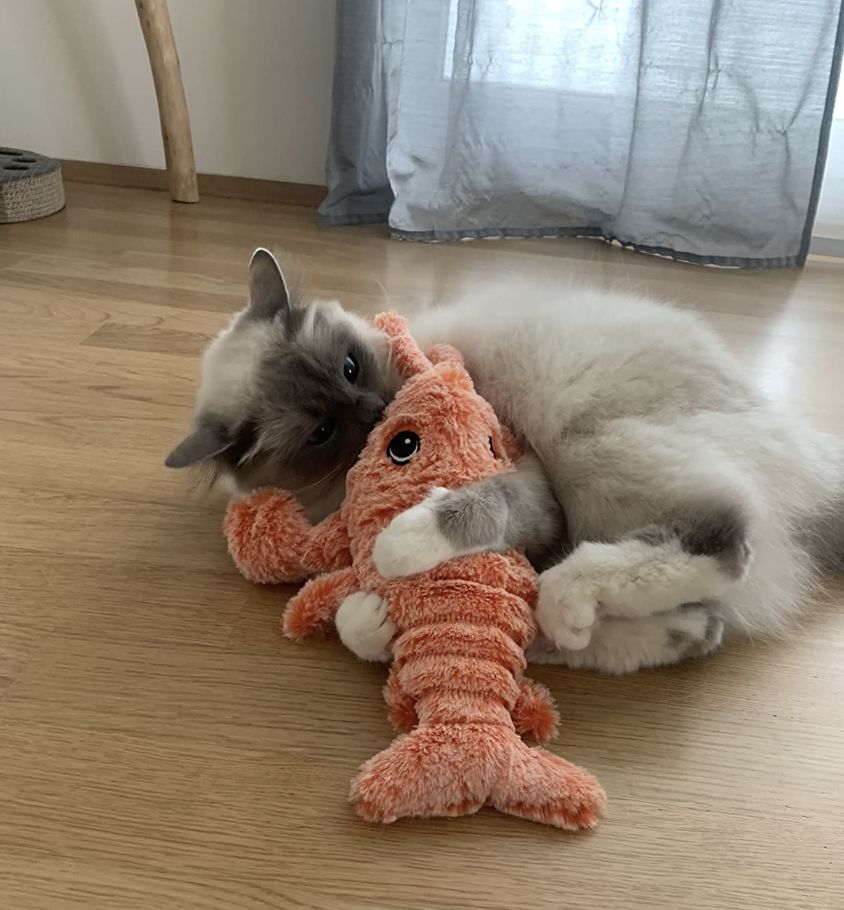 LobsterToy, interaktivna igračka za kućne ljubimce u obliku jastoga - Image 10