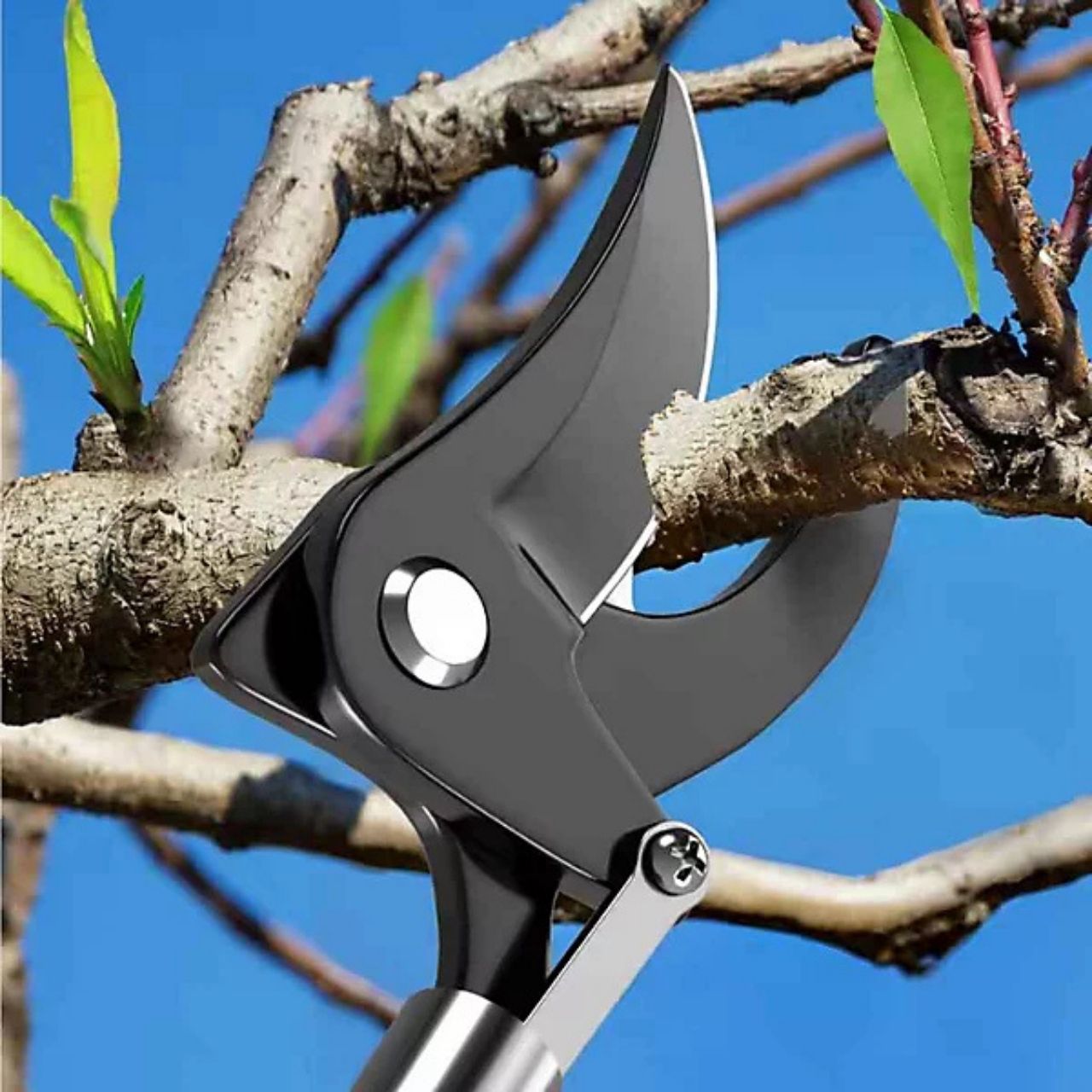 LongShears, škare za grane - Image 2