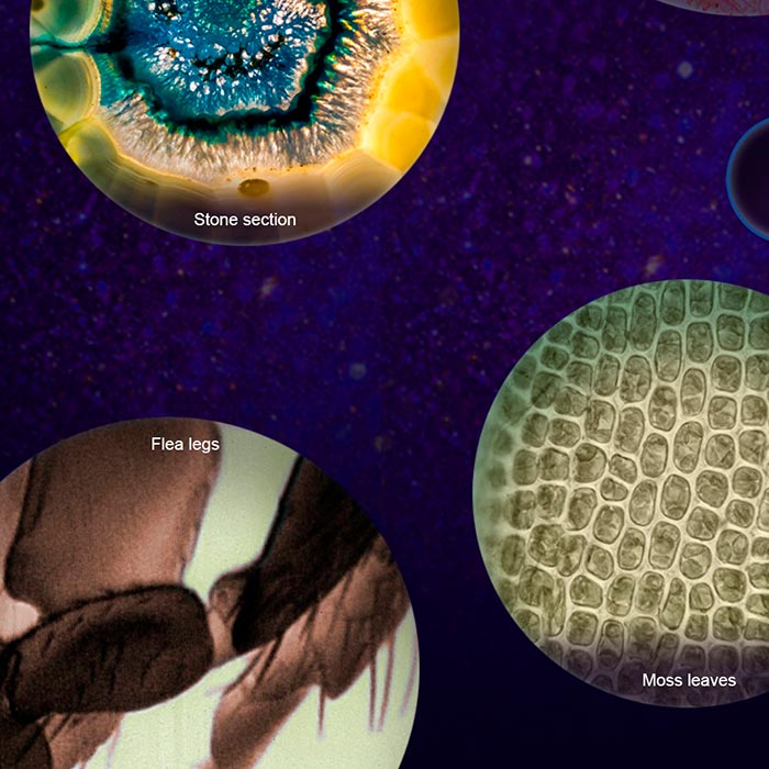 MicroscopeKit, prijenosni dječji mikroskop - Image 9