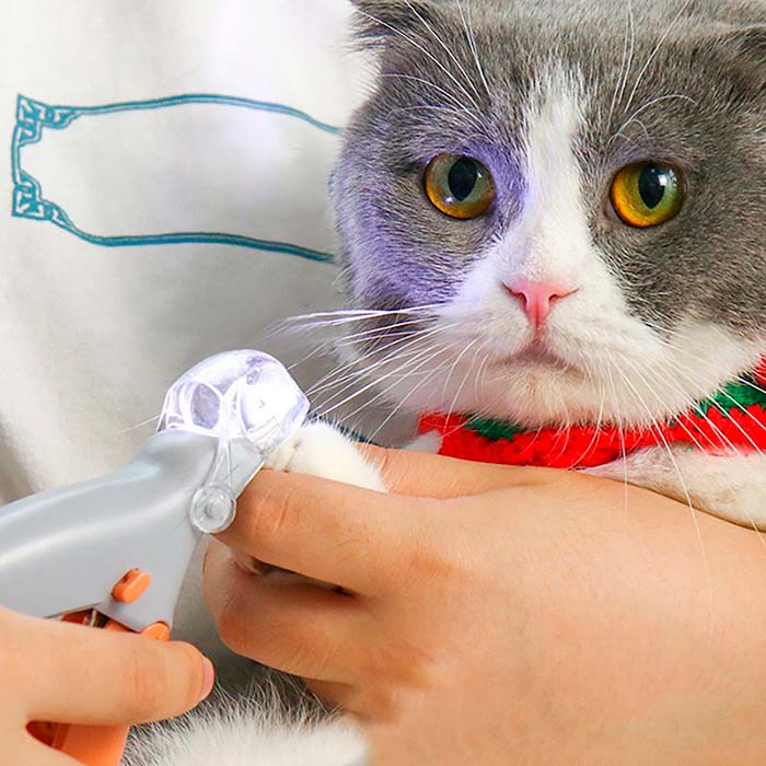 PawGloTrim, škare za šišanje kandži sa LED svjetlom - Image 7