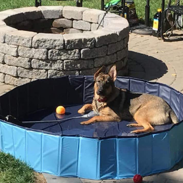 PawlyPool, sklopivi bazen za pse - Image 3