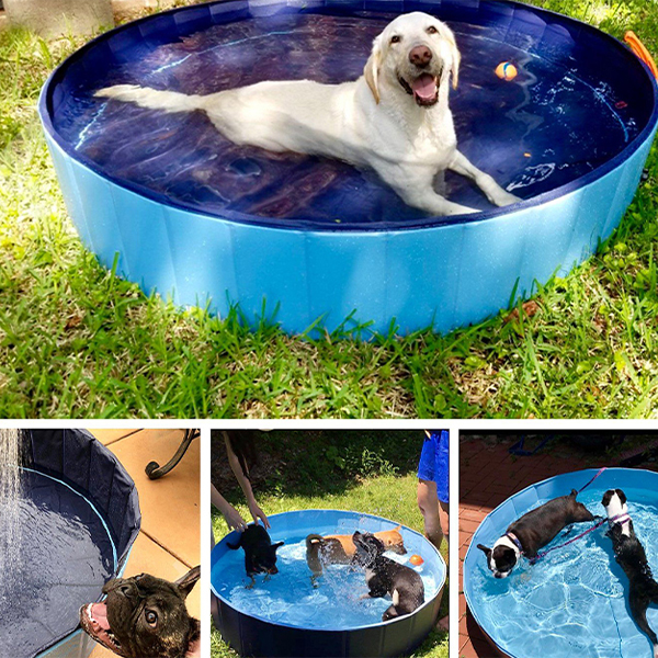 PawlyPool, sklopivi bazen za pse - Image 5