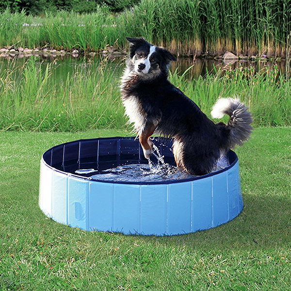PawlyPool, sklopivi bazen za pse - Image 10