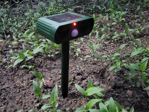 RepellentSensor, solarni repeler za životinje i vrtne štetočine - Image 10