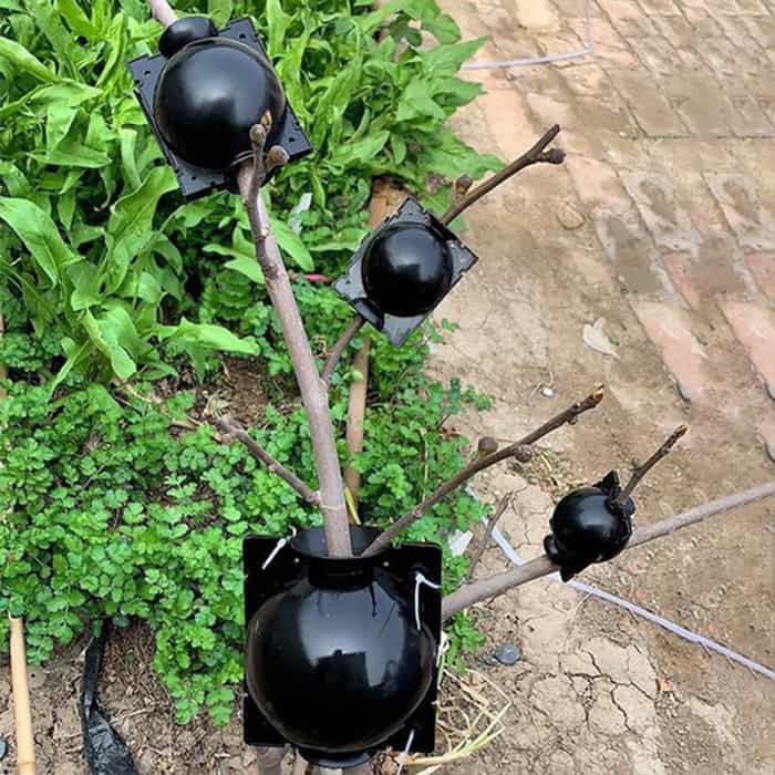 RootBall, alat za uspješno kloniranje biljaka (2 kom.) - Image 2