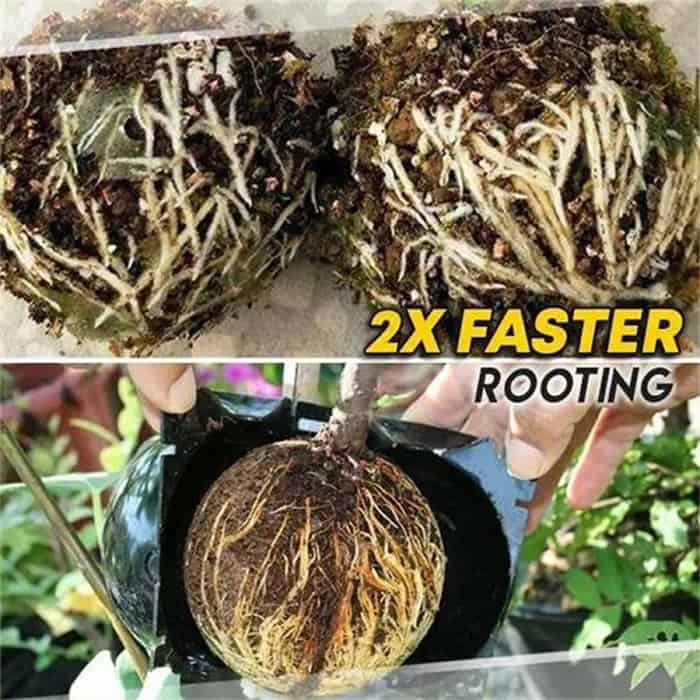 RootBall, alat za uspješno kloniranje biljaka (2 kom.) - Image 8