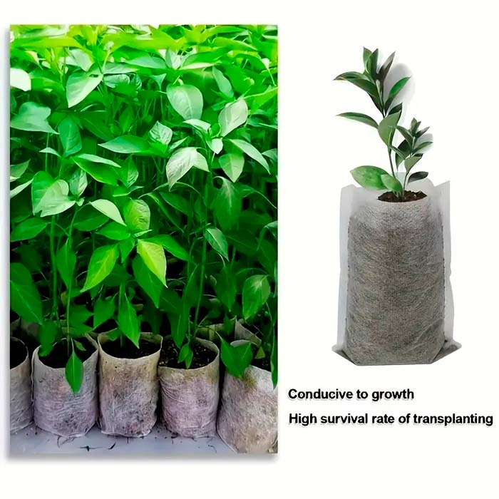 SeedBags, biorazgradive vrećice za sadnju i uzgoj biljaka (100 kom) - Image 4