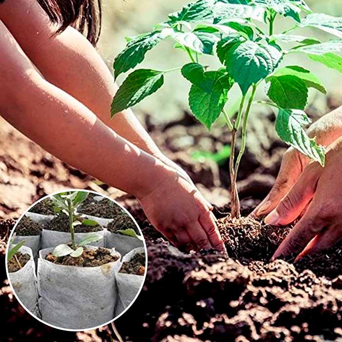 SeedBags, biorazgradive vrećice za sadnju i uzgoj biljaka (100 kom) - Image 7
