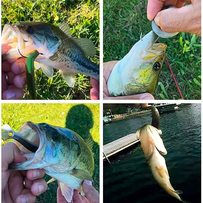 SoftLures, mamac za ribu (5 komada) - Image 6