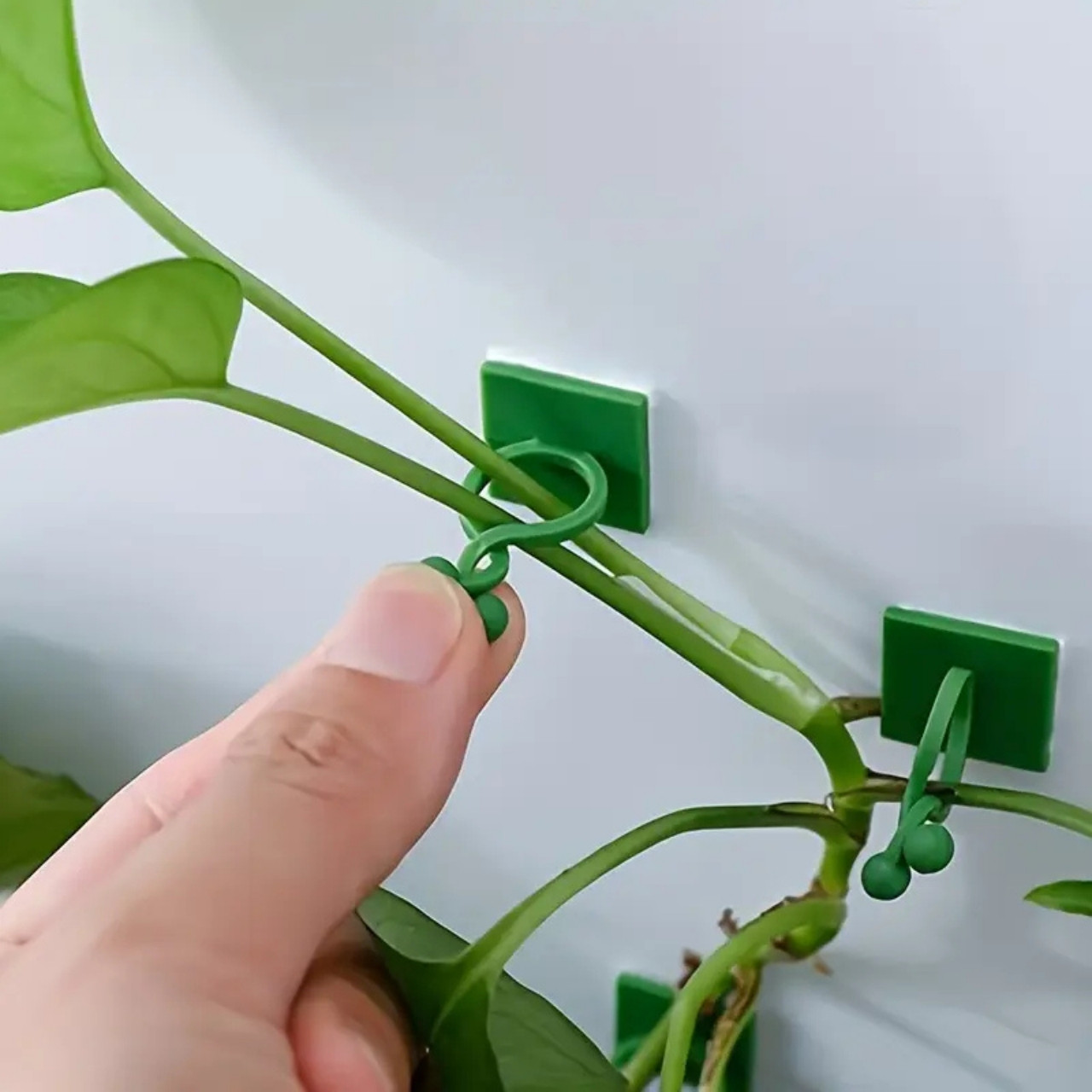 Vines, samoljepljivi držači biljaka i penjačice (100 komada) - Image 3