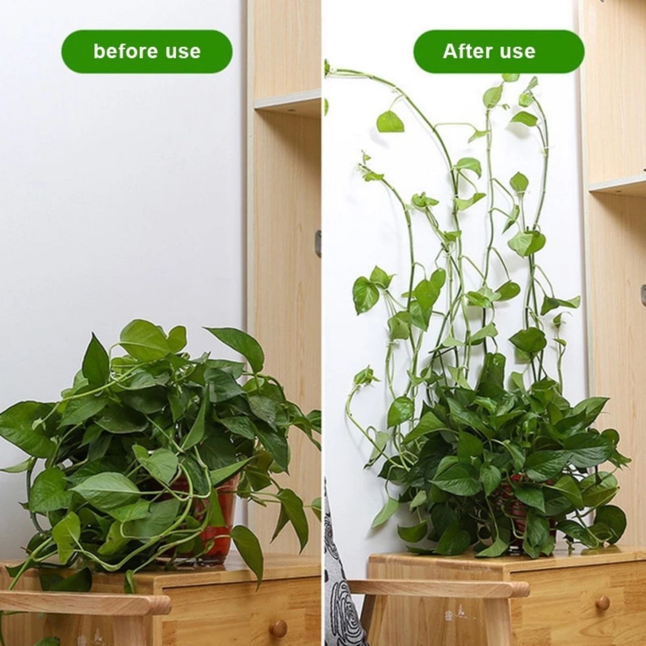 Vines, samoljepljivi držači biljaka i penjačice (100 komada) - Image 5