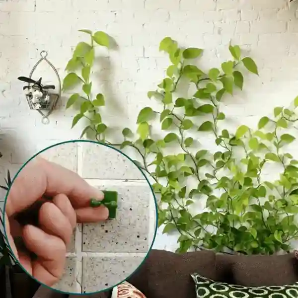 Vines, samoljepljivi držači biljaka i penjačice (100 komada) - Image 9